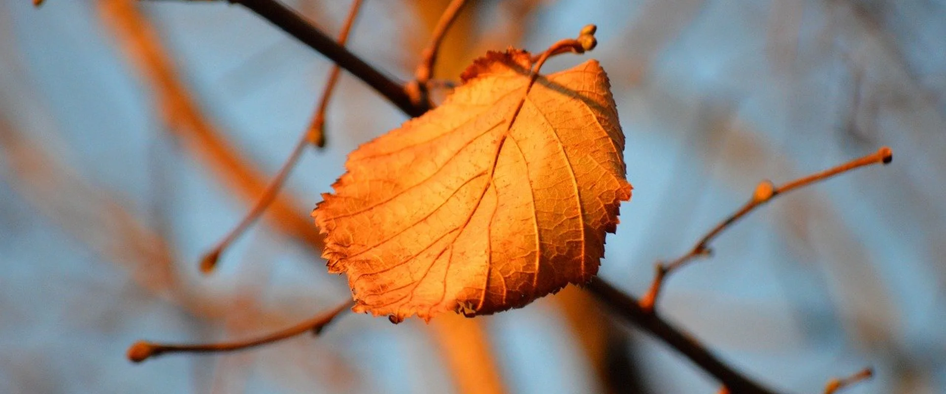 亚洲必赢PG电子